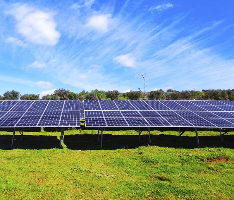 Alterna Energía construye la primera instalación de autoconsumo fotovoltaico para Montesano