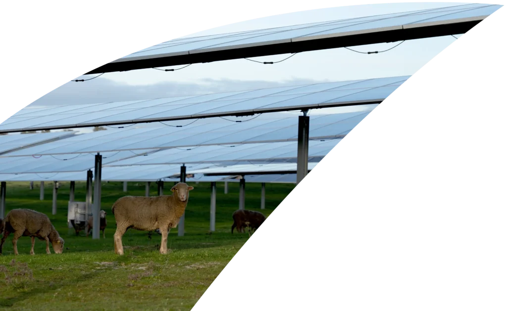 La acumulación de suciedad y sombras puede reducir la producción entre un 5 % y un 20 %. Una limpieza en el momento adecuado permite recuperar producción perdida y maximizar el retorno de la inversión.