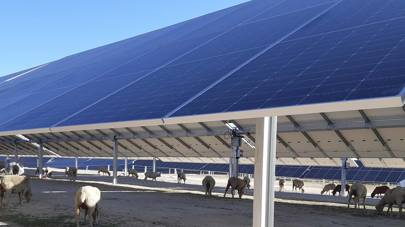 Alterna Energía will be responsible for the maintenance of three photovoltaic plants in Cáceres