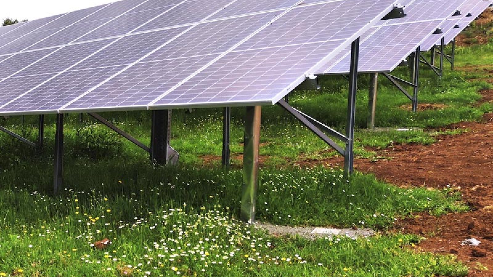 autoconsumo-fotovoltaico-alterna-energia